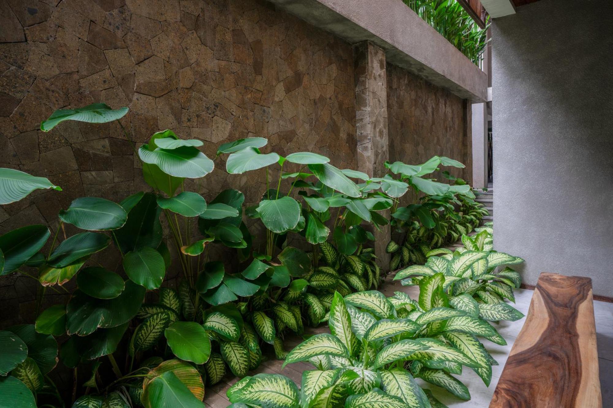 Kammora Living And Villas - Bali Invest Club Canggu  Ngoại thất bức ảnh
